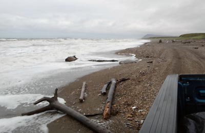 Wood all over the beach. a Driftwood lovers paridise.