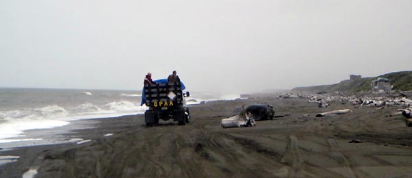 The Alaskan Highway. A bumpy ride.