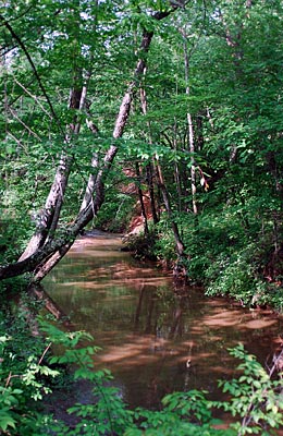 Muddy Creek